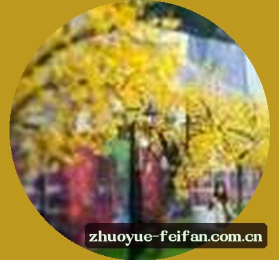 李伟